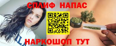гашик Кинель