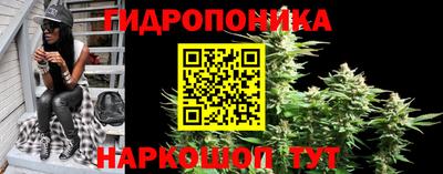 гашик Кинель