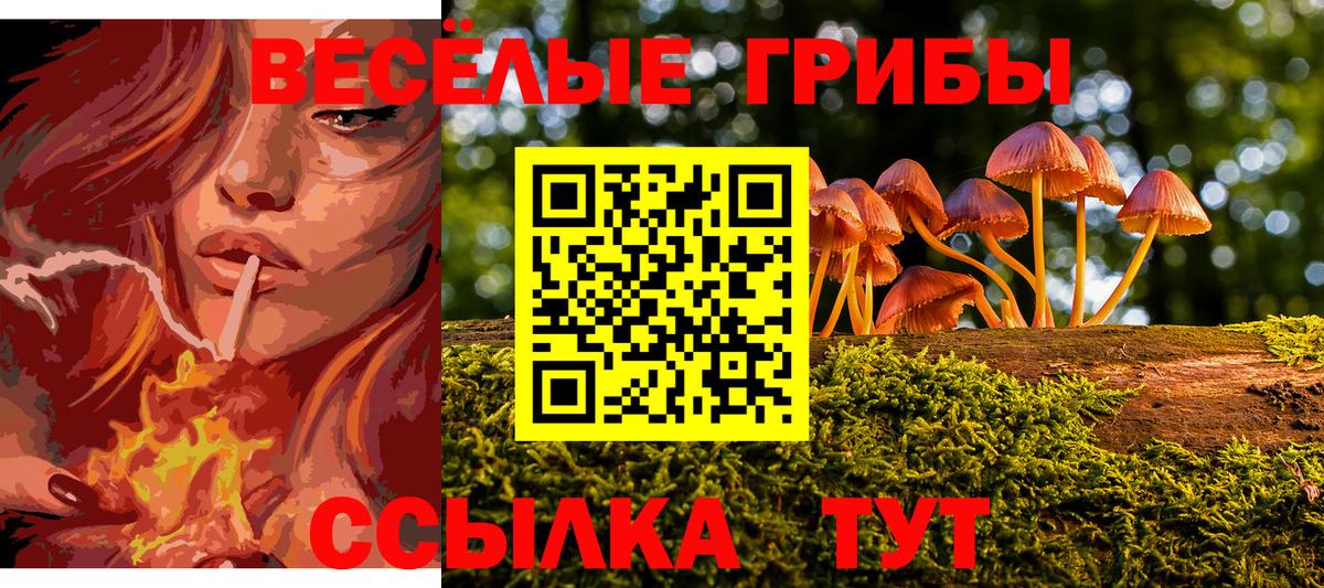 Кострома  Галлюциногенные грибы MAGIC MUSHROOMS  Вход с VPN 