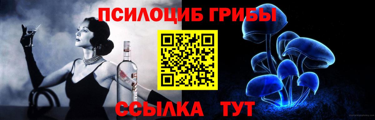 Псилоцибиновые грибы GOLDEN TEACHER Кострома